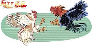 Đá Gà Tại MU88 - Tỷ Lệ Cược Cao, Trực Tiếp Sắc Nét HD