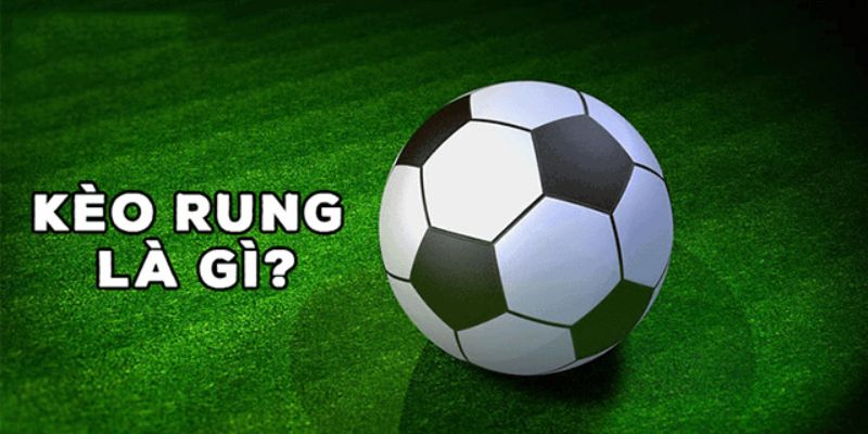 Kèo Rung Là Gì? Bí Kíp Bắt Kèo Chuẩn Như Dân Chuyên 1 Kèo Rung Là Gì? Bí Kíp Bắt Kèo Chuẩn Như Dân Chuyên